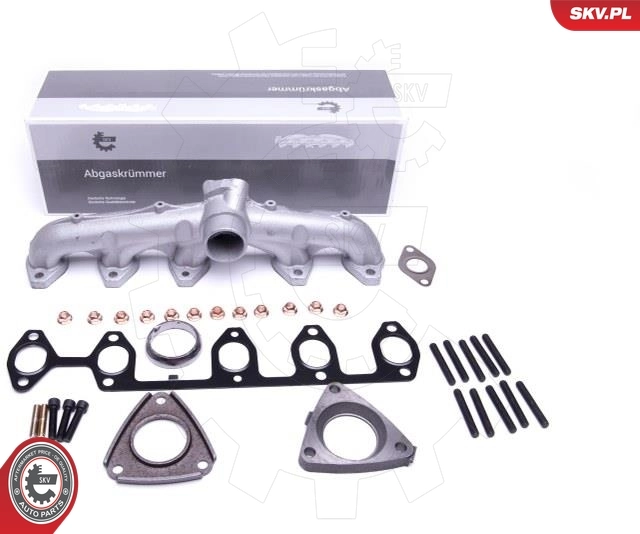 Manifold, exhaust system